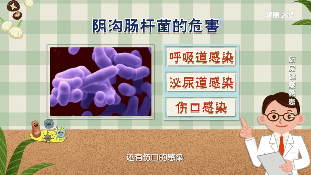 阴沟肠杆菌复合菌图片