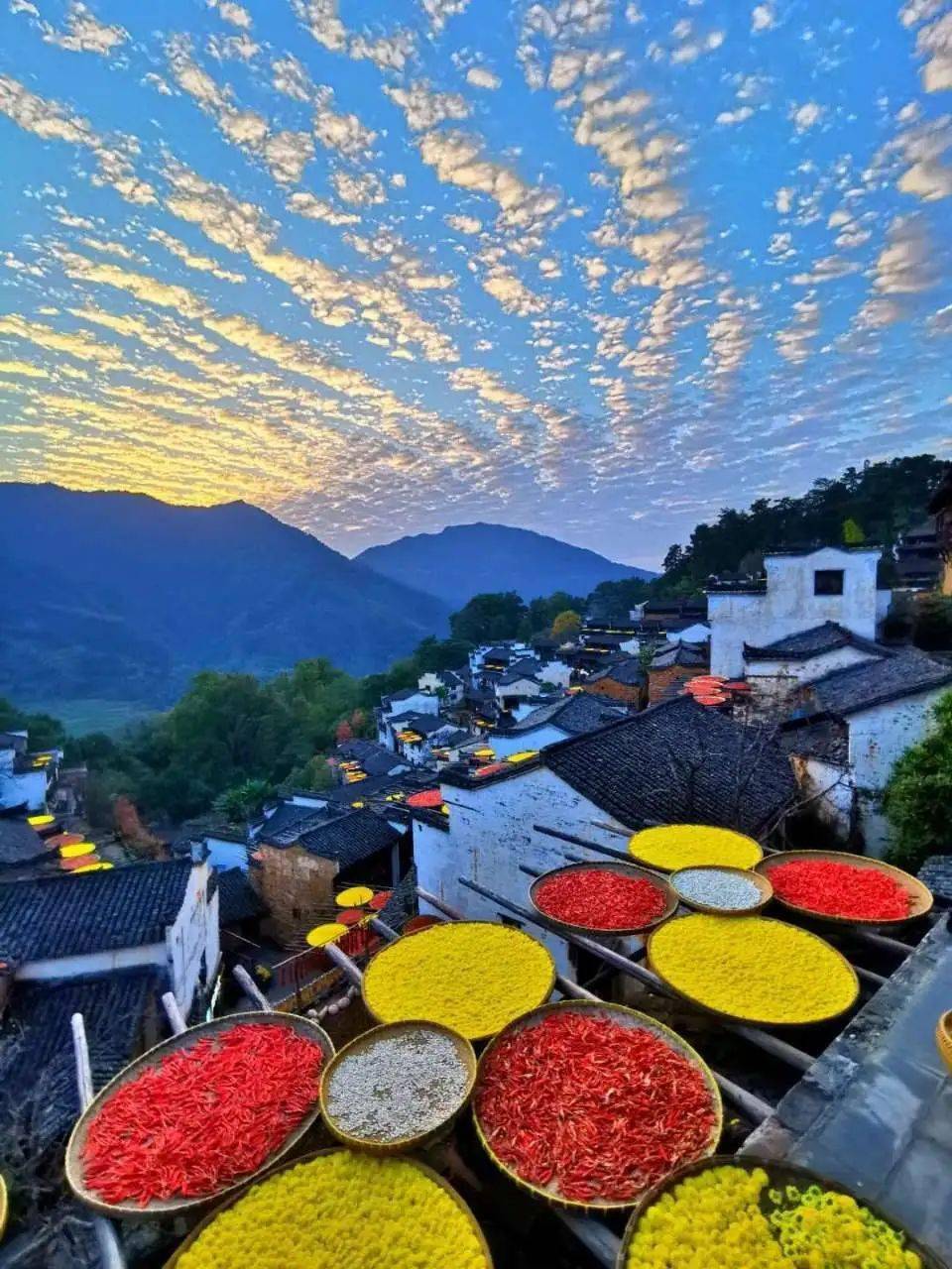 篁岭登抖音首期旅行热榜,全民晒秋火热进行中!