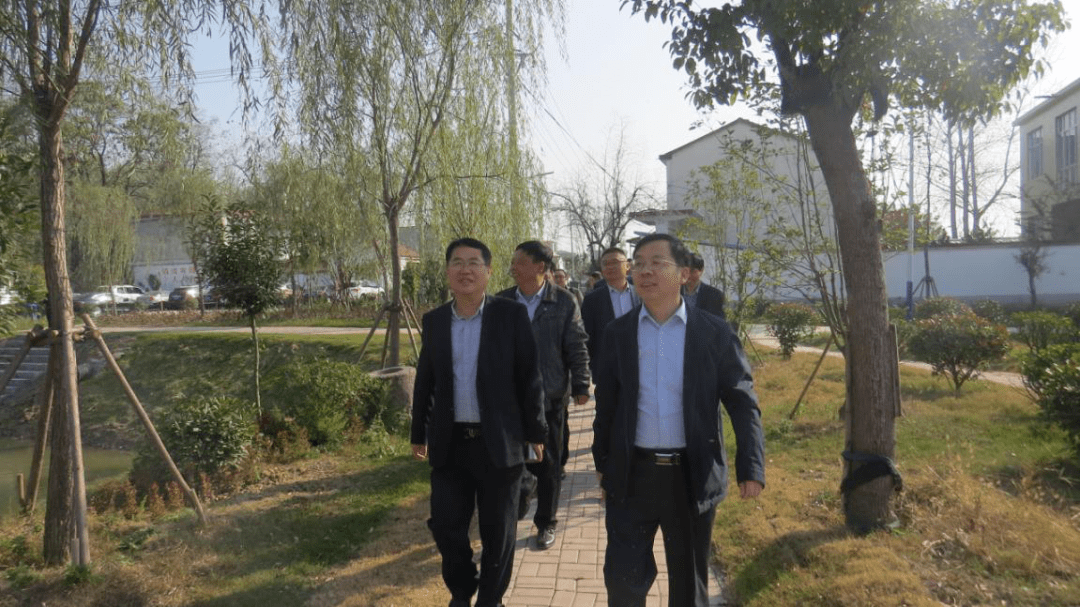 安徽省猪业协会到花兰村举办"百社进百村"产业扶贫座谈会