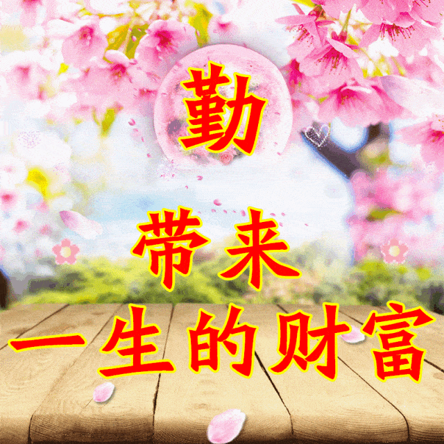 640_640gif 动态图 动图