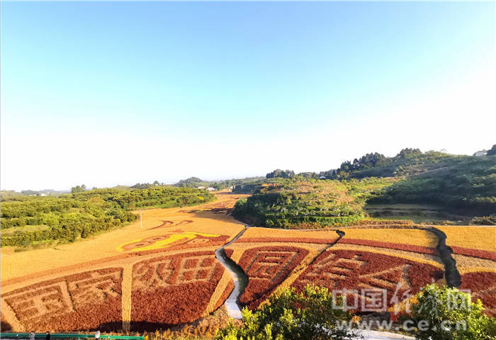 七彩田园.