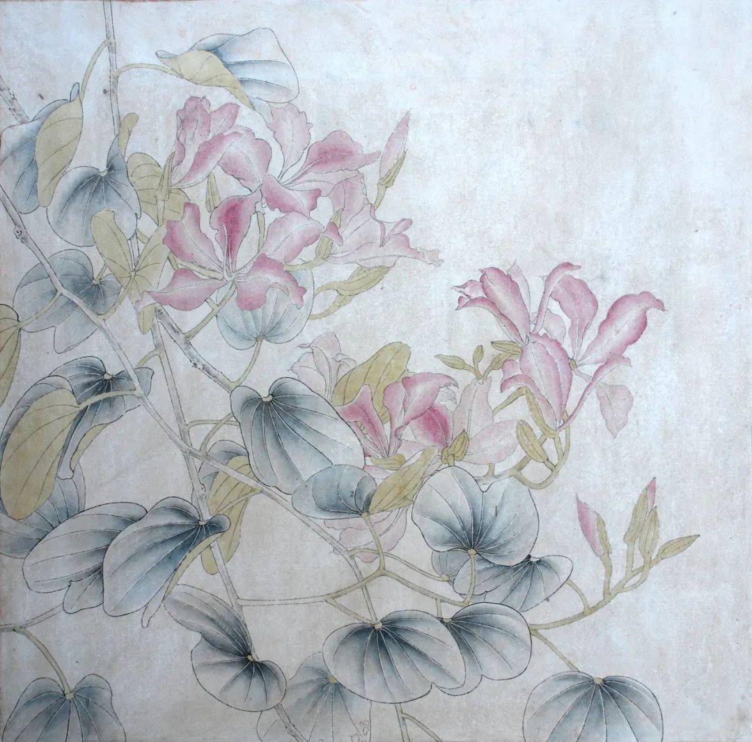 教程紫荆绘制步骤