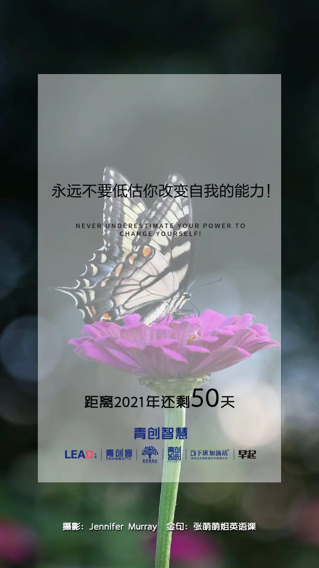 好看的皮囊千篇一律有趣的灵魂万里挑一
