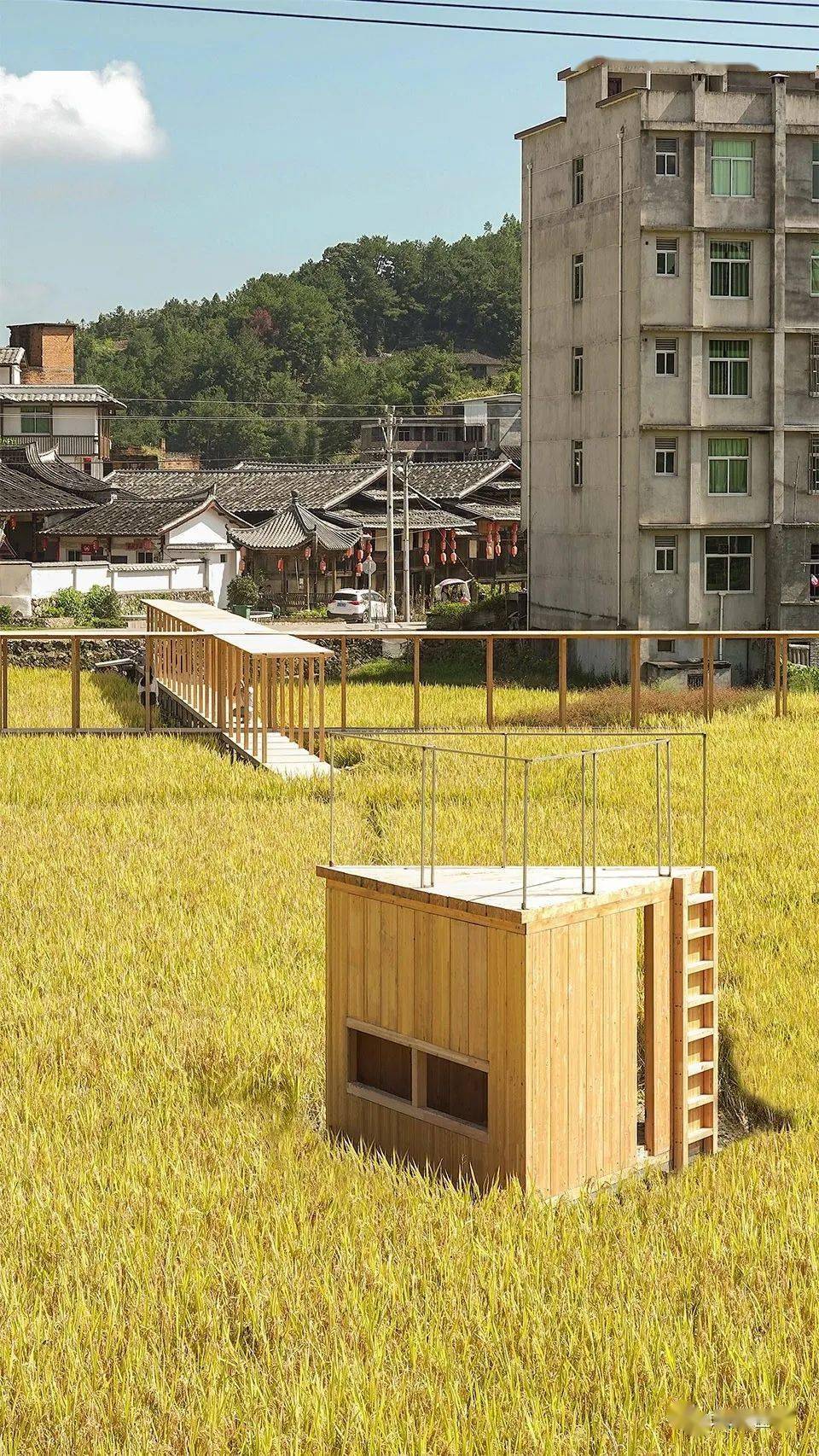 一次稻田里的城乡共建,青石寨的稻亭和稻场