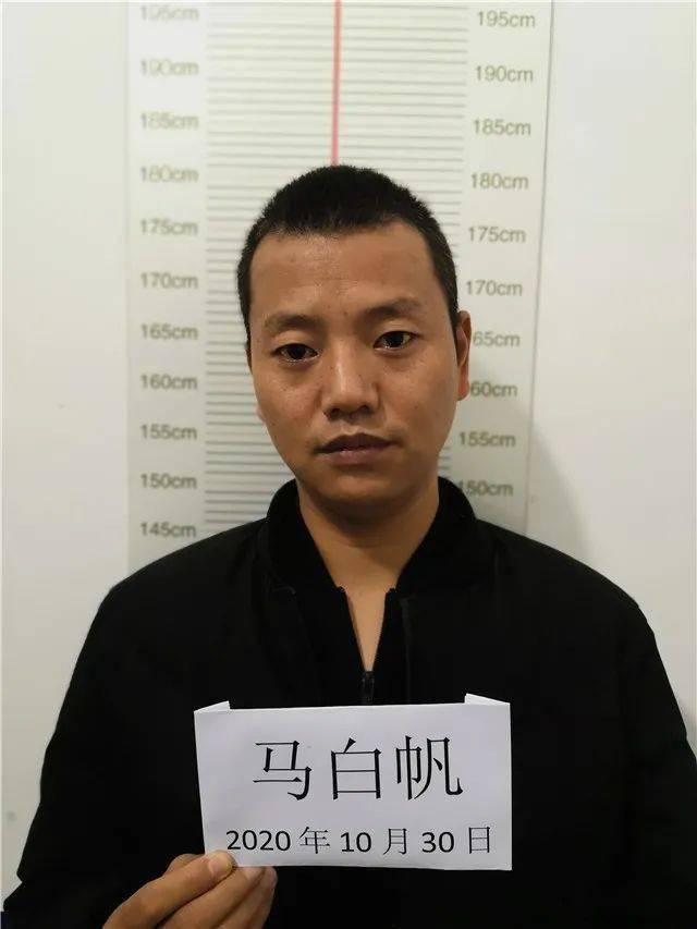 抓获十余名犯罪嫌疑人永平警方发布公开征集马涛沙峰等人违法犯罪线索