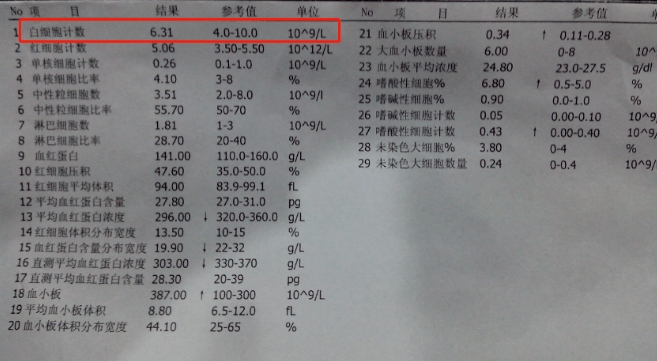 白细胞增多是发炎了还是白血病