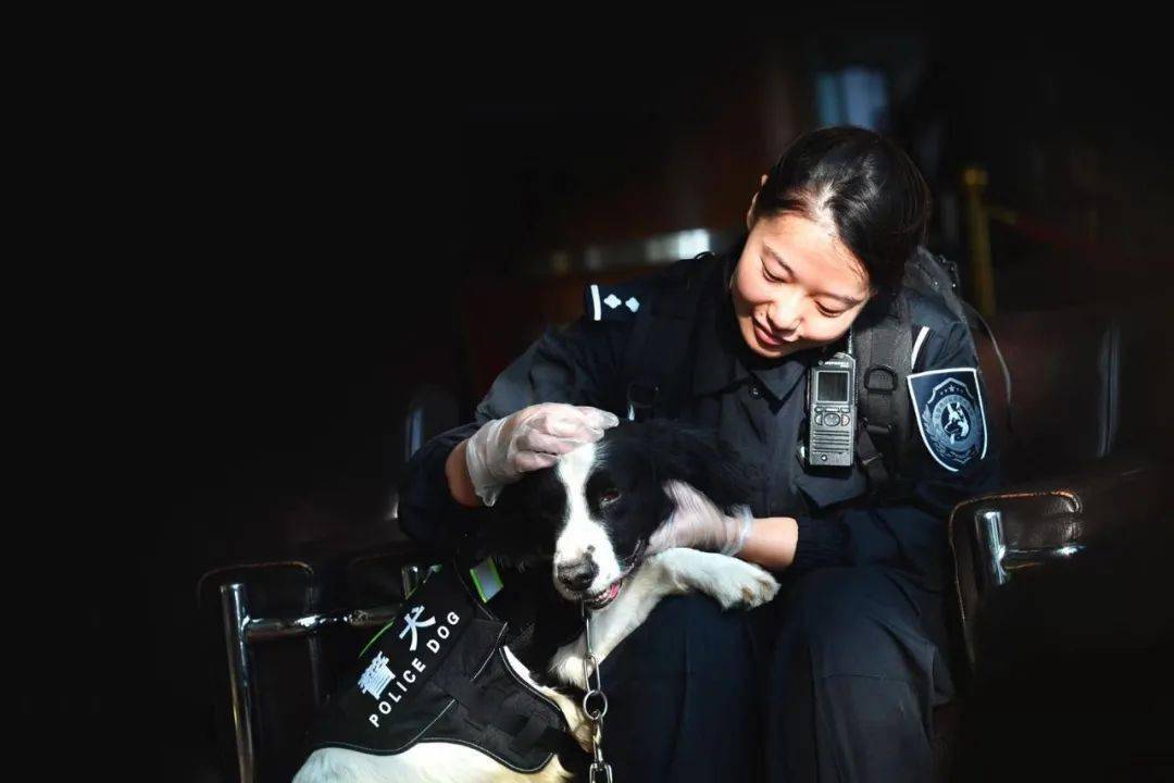 警花与警犬,爱上就别无选择!
