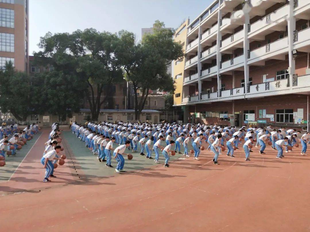 小學伊頓海逸外國語學校豐泰外國語學校藝園學校新園學校小牛津學校