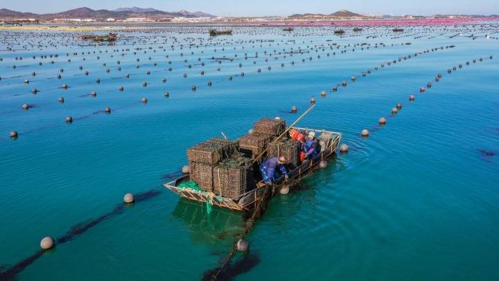 山东荣成:鲍鱼南下福建"过冬"_养殖区