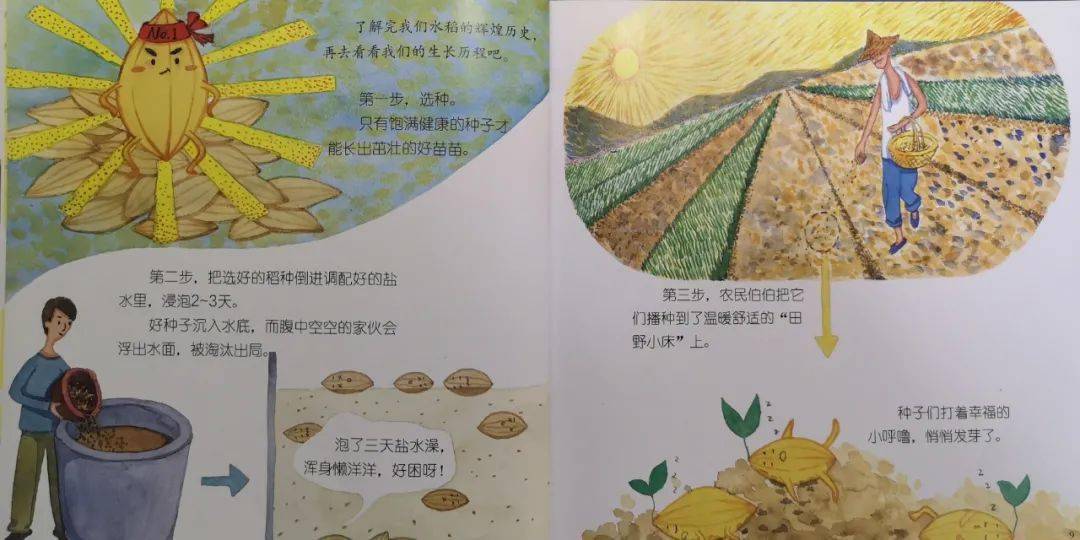 今天我给大家分享的故事名字叫《大米的由来》,喜欢的话记得给我点赞