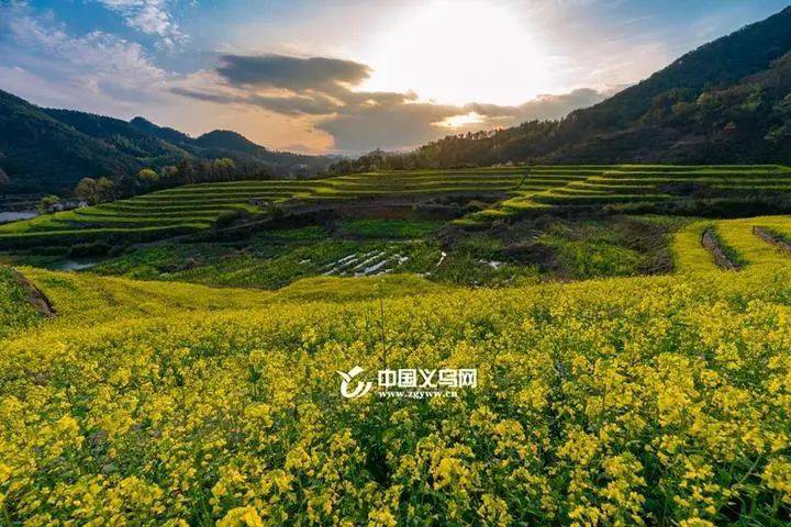 义乌苏溪全域统筹建设美丽城镇和美共享幸福生活