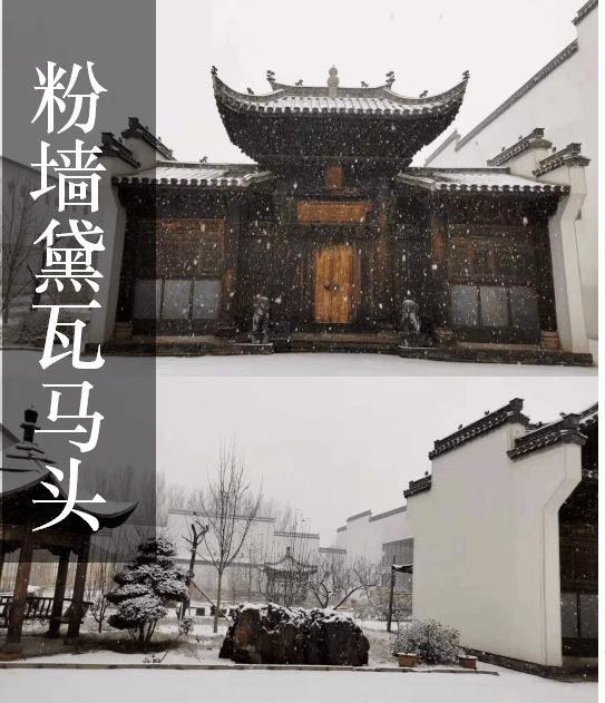 走入坦博艺苑从古董看历史价值数百亿的稀世珍宝带来的超级历史课