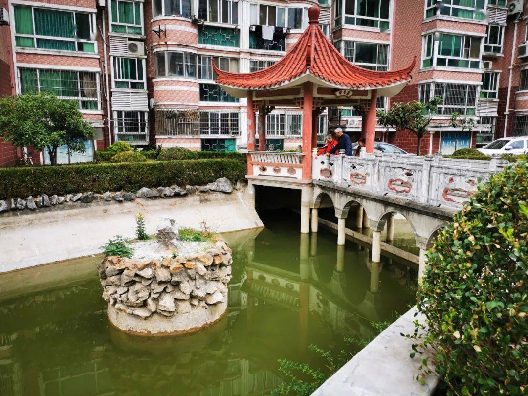 家住海上明珠园的唐芳华阿婆如今日子过得很惬意,每天早晚都要去小区