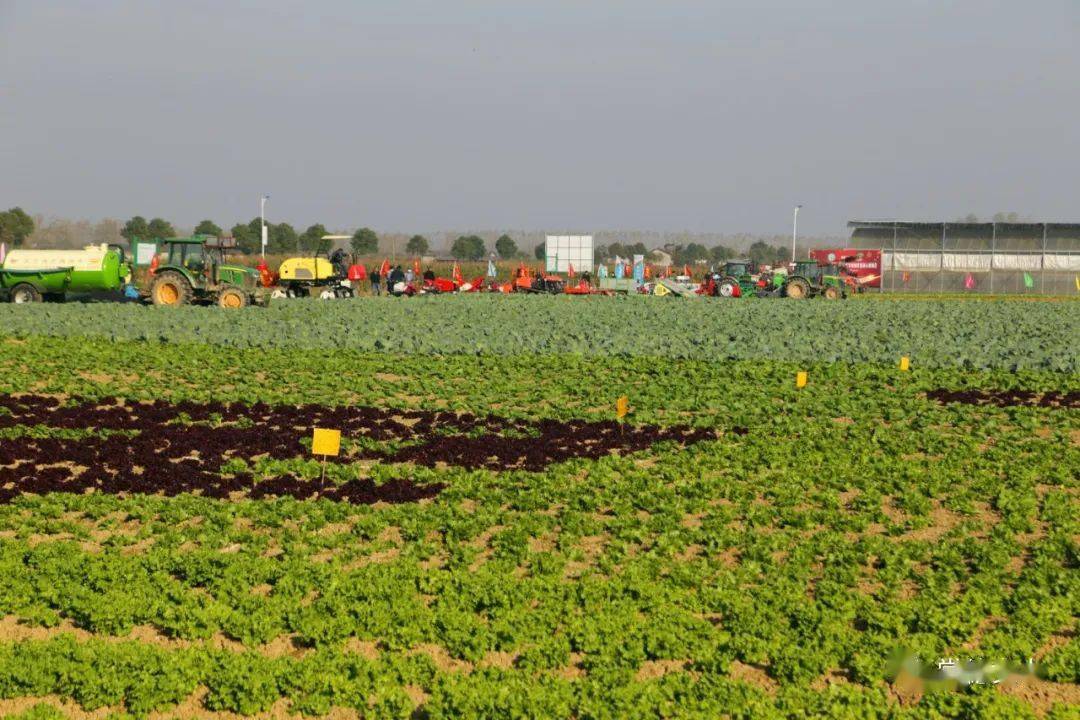 汉寿第五届蔬菜节启幕在清水湖野生动物世界美爆了