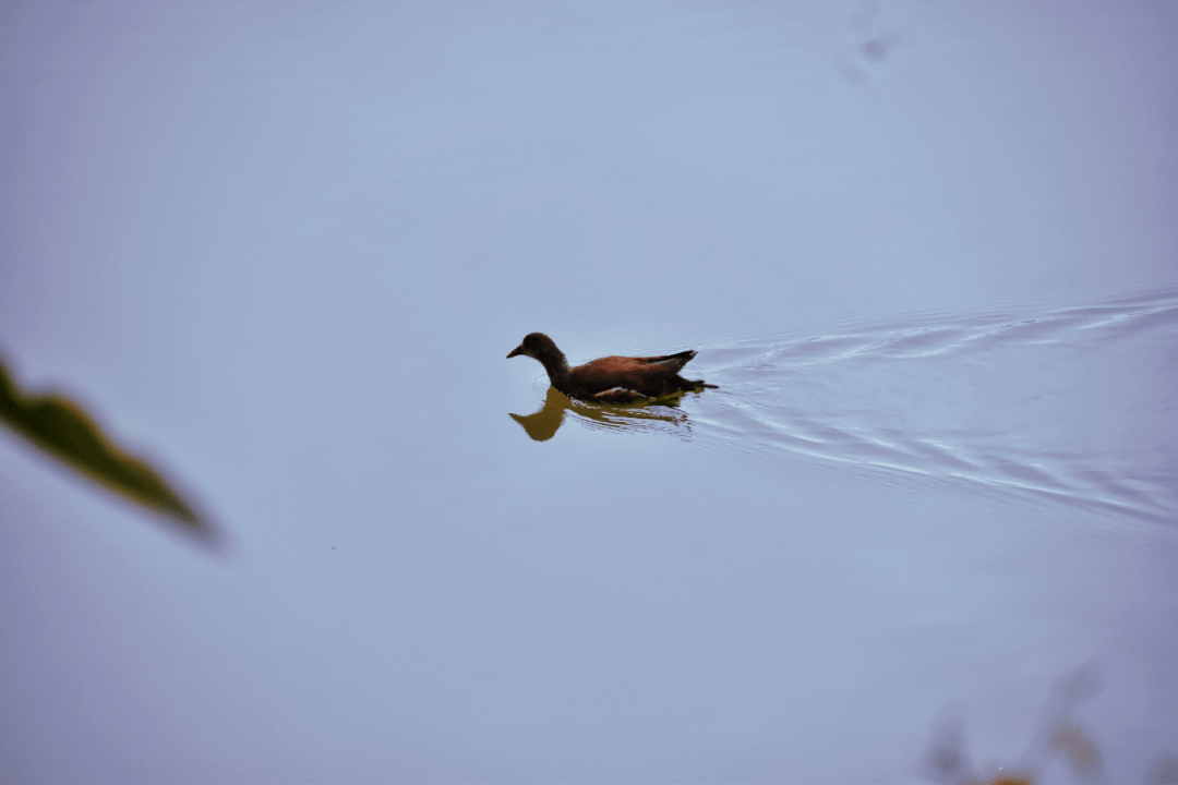 视觉长空清阔满目澄蓝初冬递进沉淀贵阳秋日记忆