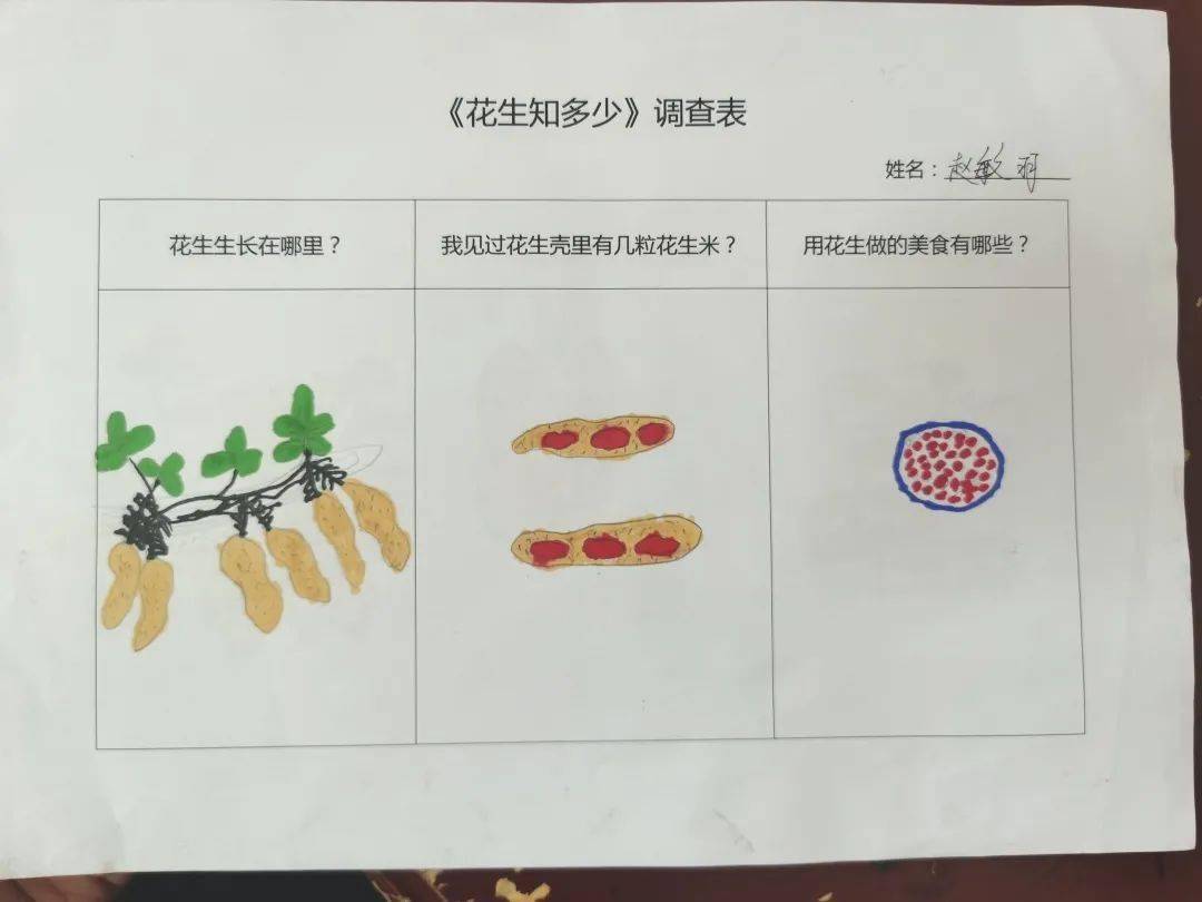花生小调查查课程思维导图…那花生藏到哪里去了呢?花生肯定藏起