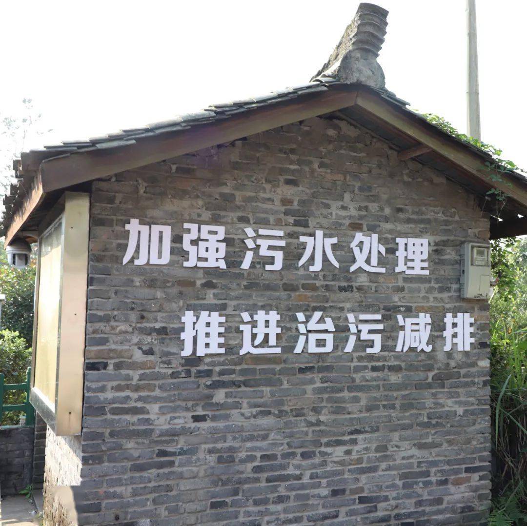 环保乡村污水处理站治出美丽新农村
