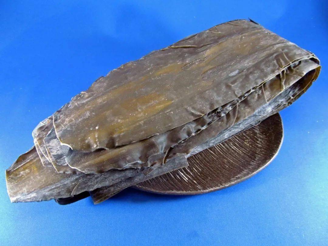 好吃的料理往往只需简单的食材——昆布_日本
