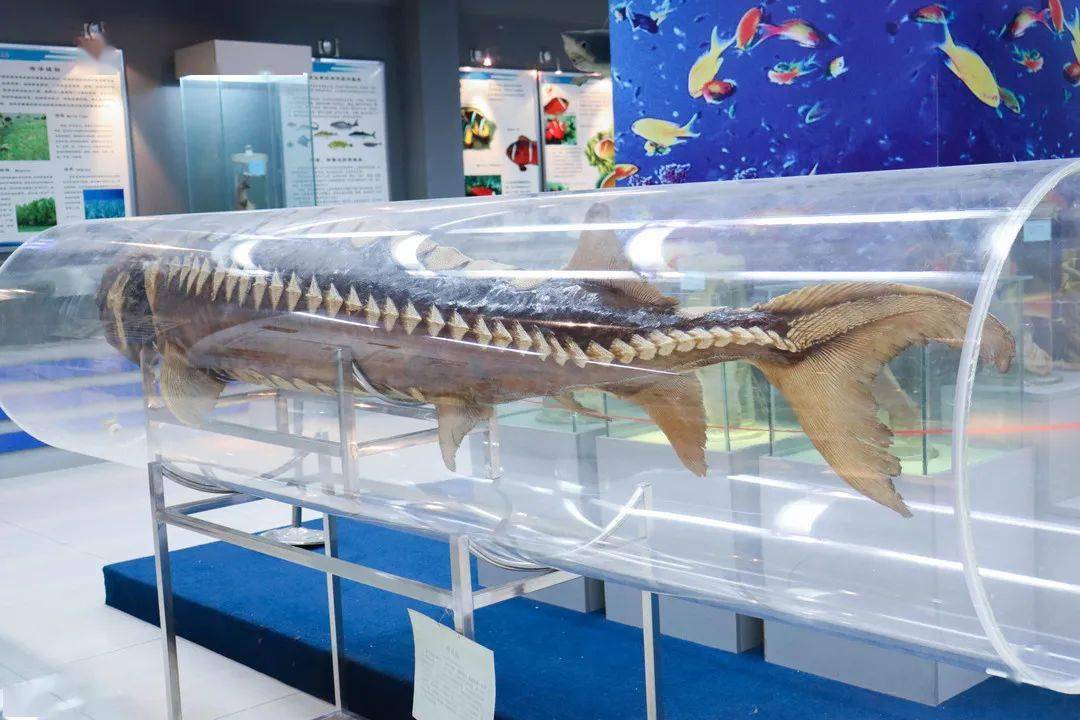 来一场说走就走的海洋旅行