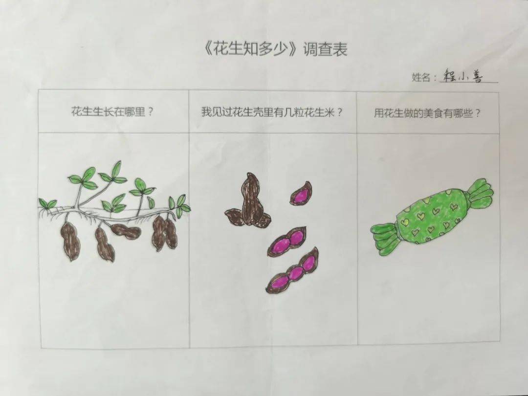 花生小调查查课程思维导图…那花生藏到哪里去了呢?花生肯定藏起