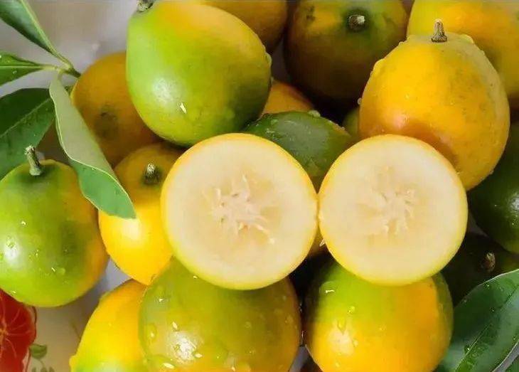 水果界止咳圣果广西冰糖心脆皮金桔带皮吃都甜好吃到停不下来