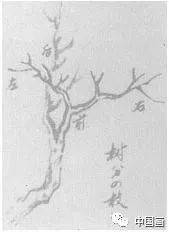国画之“树”——分枝法_树枝