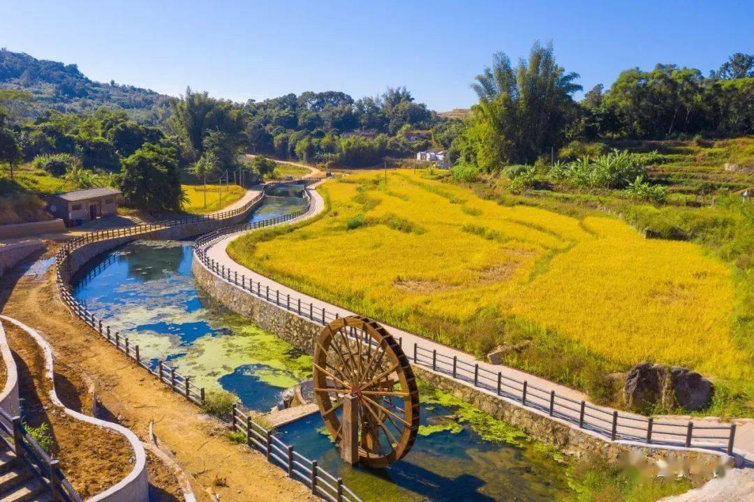 洋岭梯田,陆河上护镇洋岭村