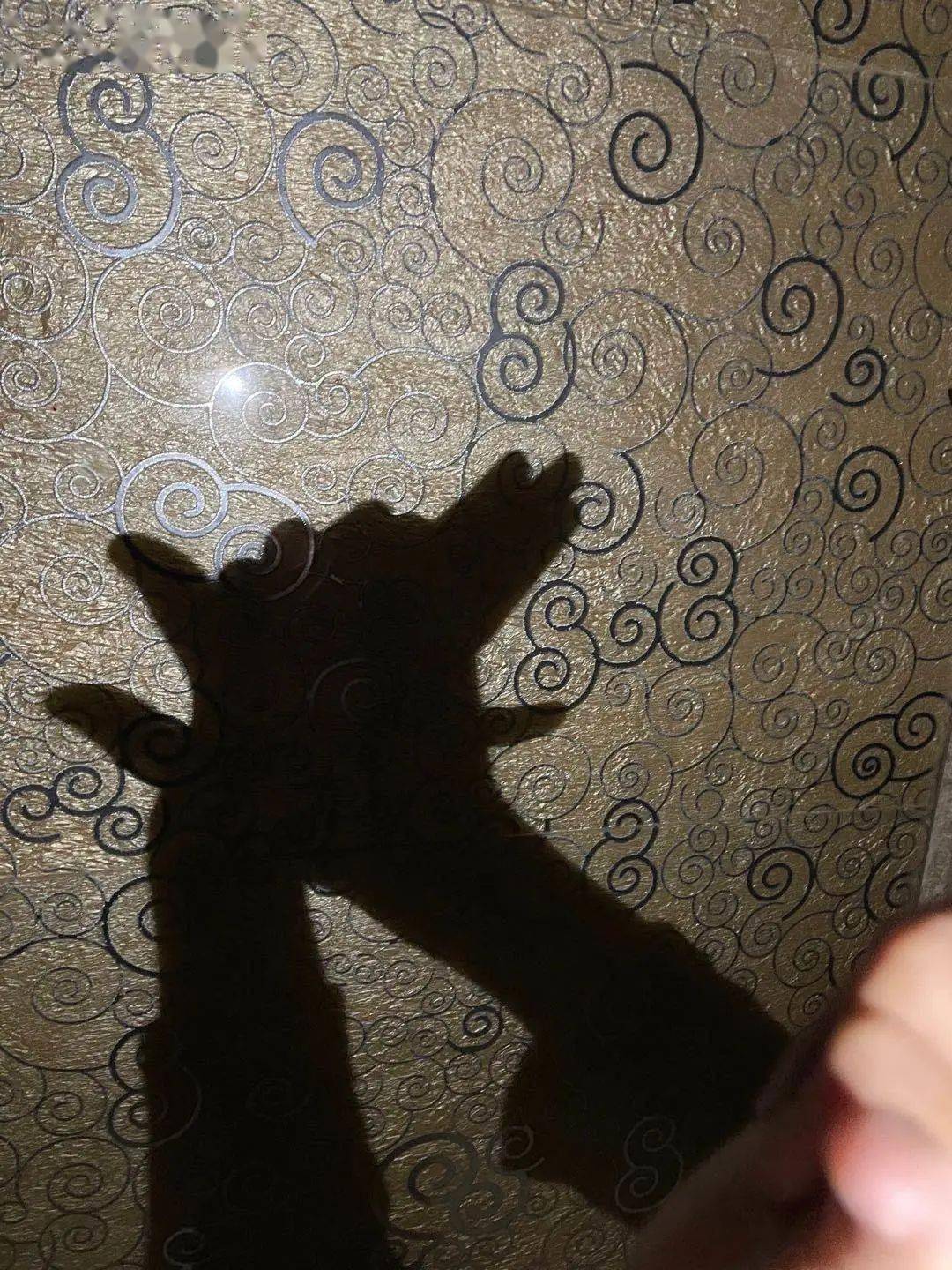 影子朋友!_变化