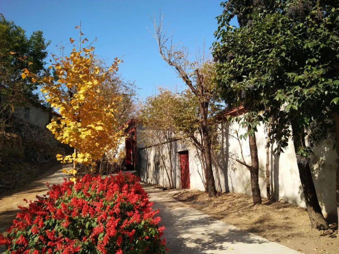 万德乡村纪实邵庄村年初承诺全部兑现