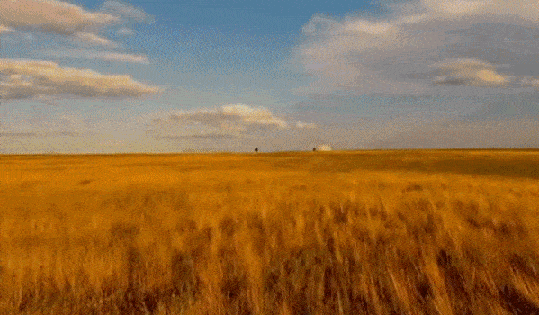 指尖上的深秋,一大波宝山美景一触即发!