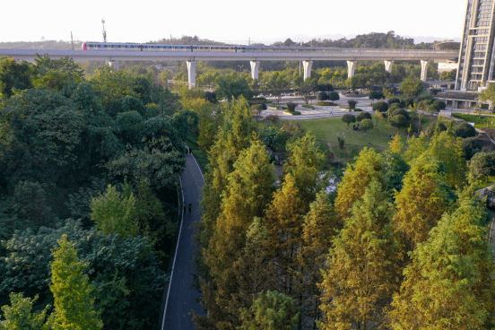 馮旨意 攝▲渝高公司供圖在城市中親近大自然近日,九曲河溼地公園