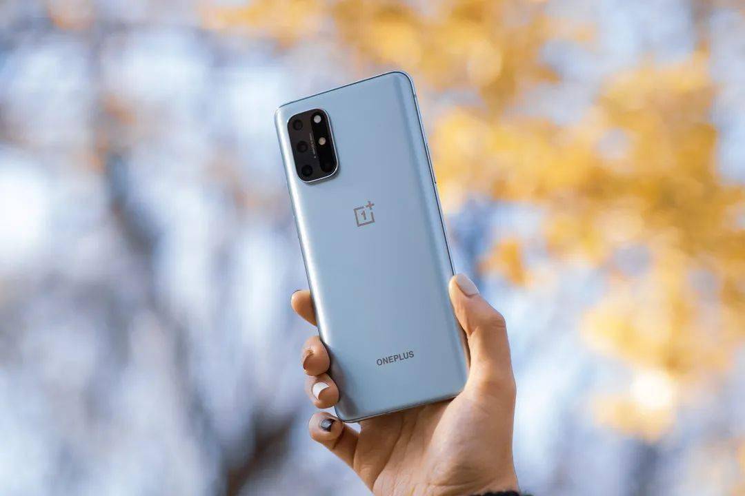 03四摄,放手一拍oneplus 8t手机拍摄已经成为生活中非