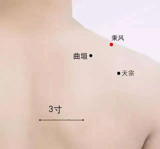 寒风起,百病始!我们身上自带的挡风墙,一定要护好!_位置