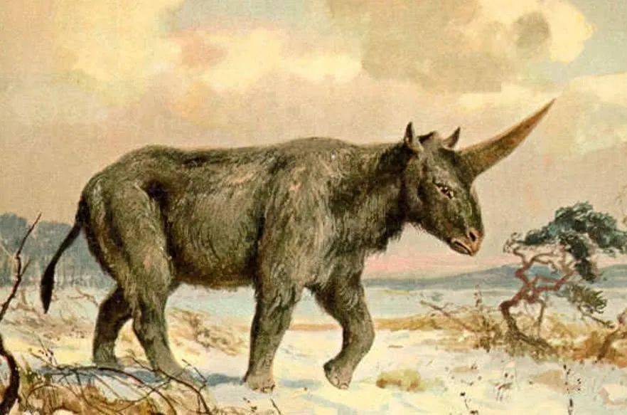 6种稀奇的已灭绝动物第4种生存在六百万年前的中国