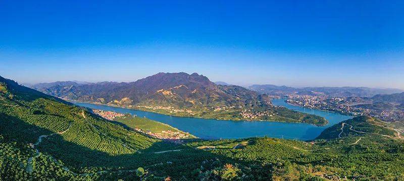 大江口镇莲花村:桔子红了桔子香 桔子带我们奔小康