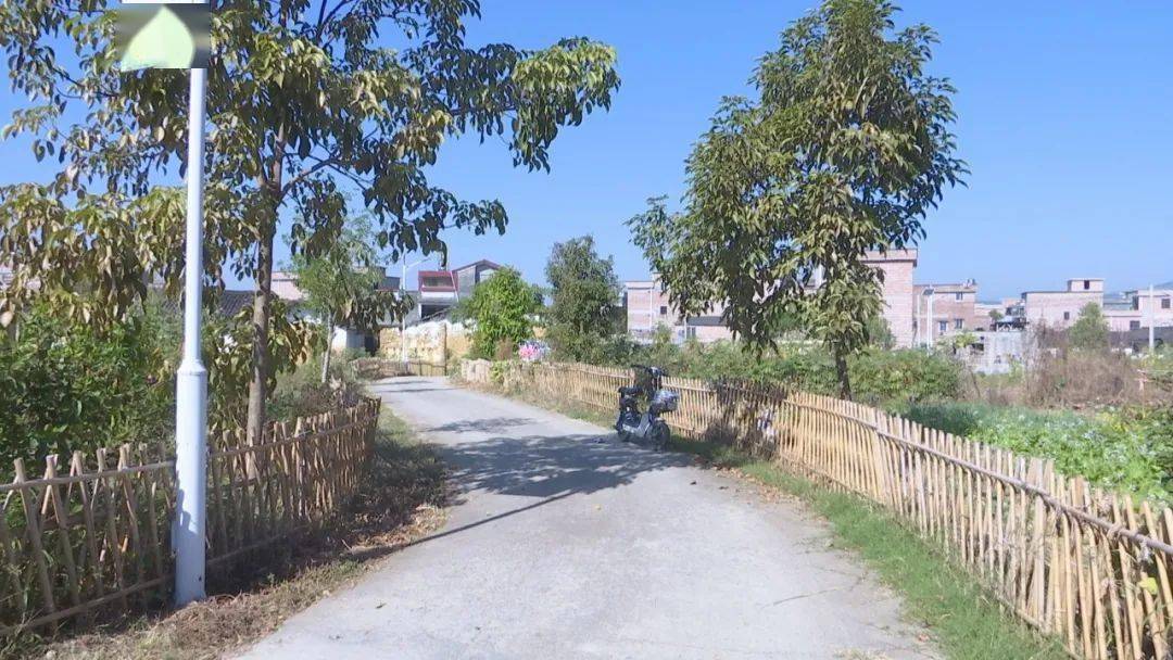 连麦镇:"整"出人居环境新景象   焕发美丽乡村"新颜值"