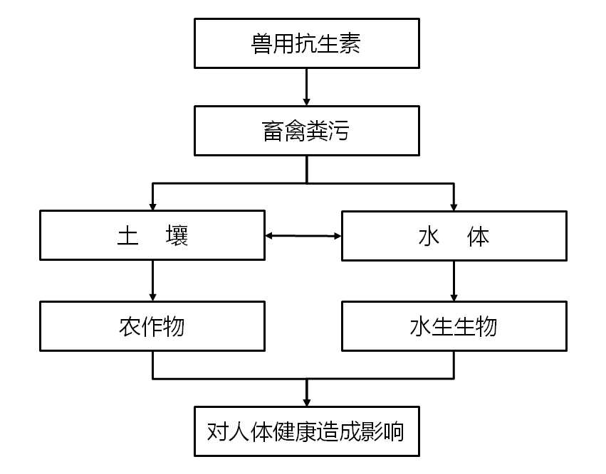 环境中兽用抗生素的主要来源及可能的转归途径