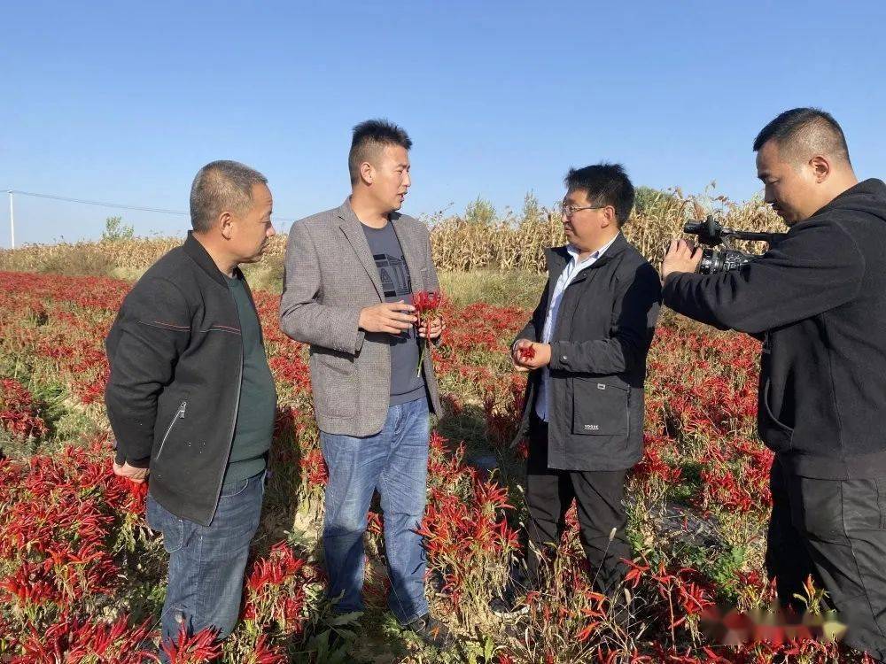 农林卫视农村大市场图片