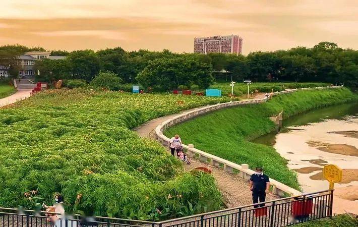 深圳最美季节已至不要错过龙华这些地方