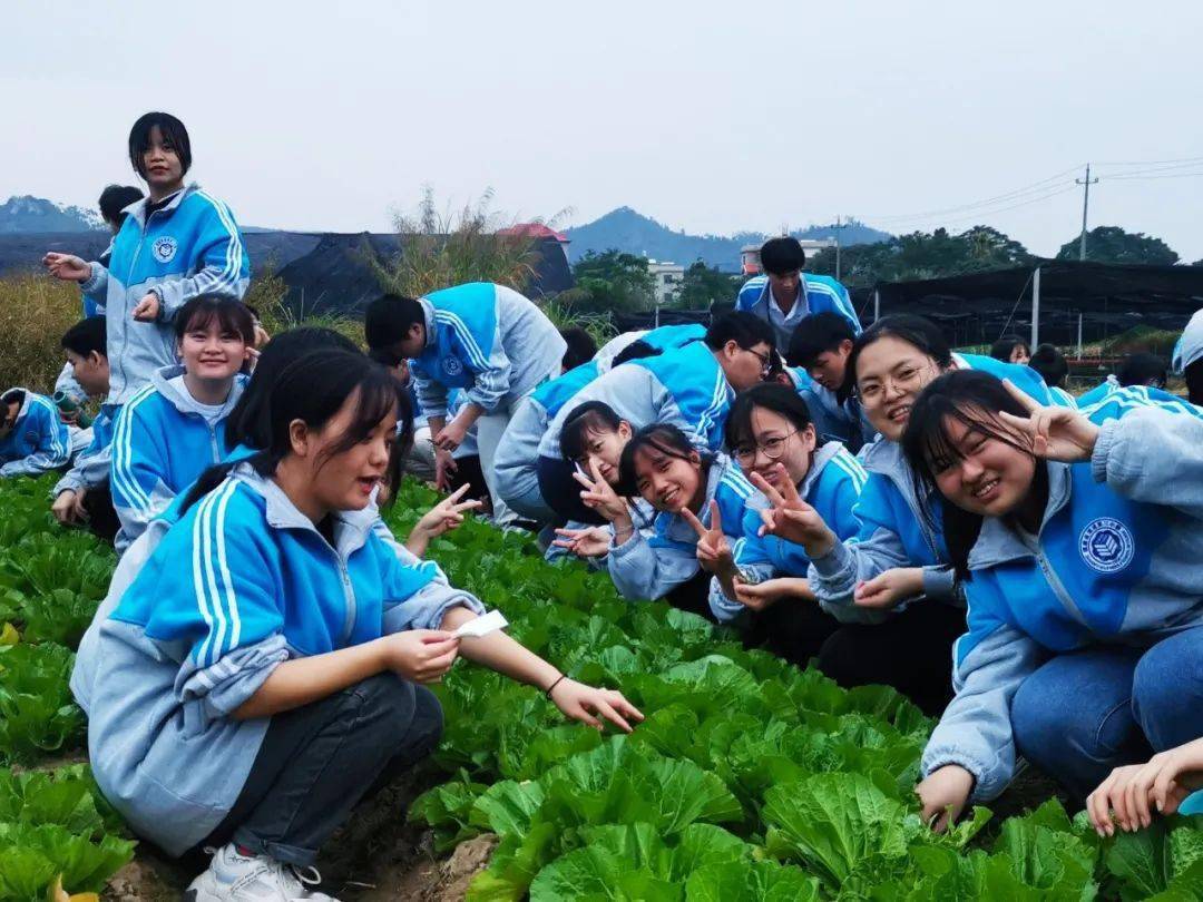 福建省漳浦第三中学高二年级东南花都研学实践活动有梦想不彷徨为青春