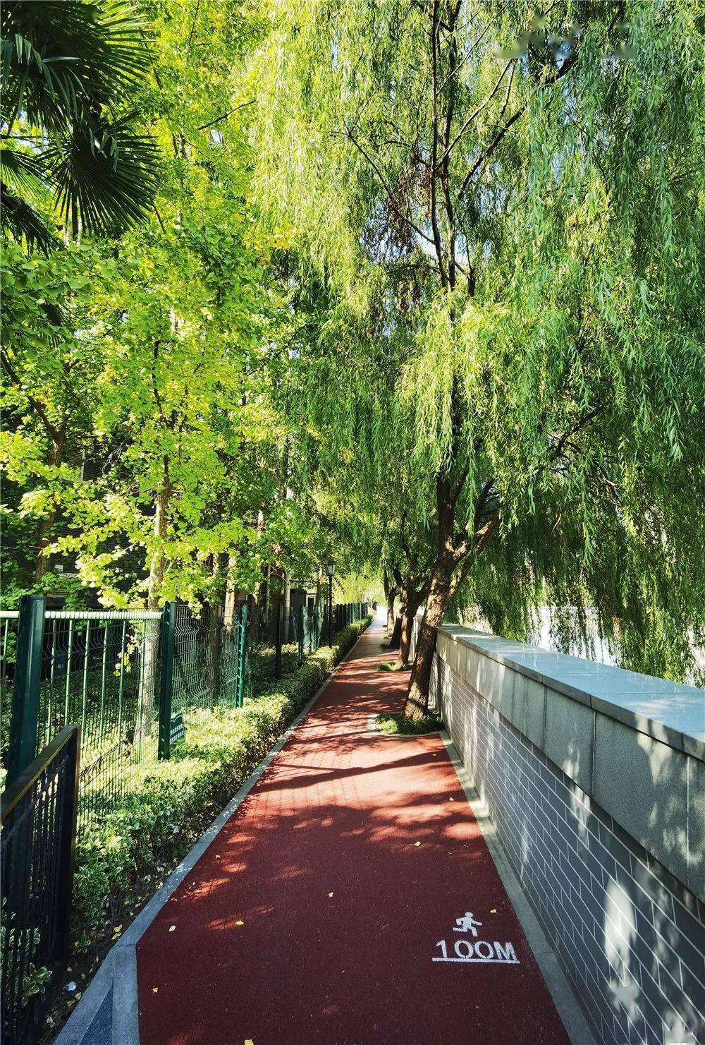 苏州河健身步道华政段拓宽啦一起来看现场美图