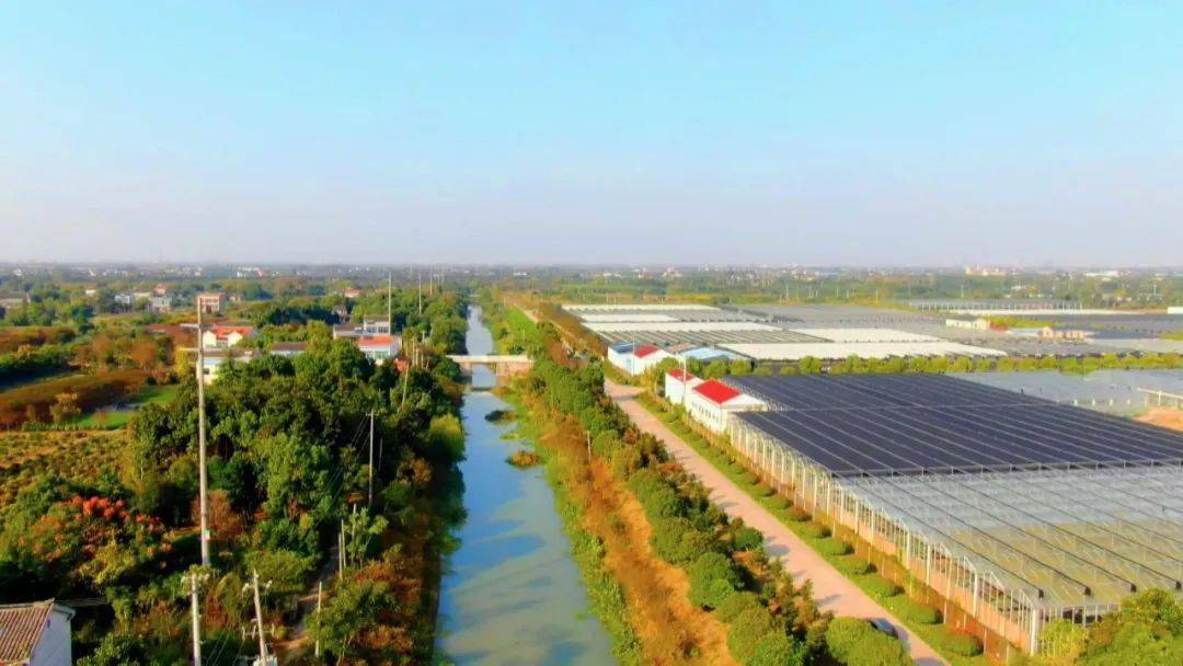 嘉泽镇跃进河:"引清活水"入村来,灌溉幸福"花木乡"!