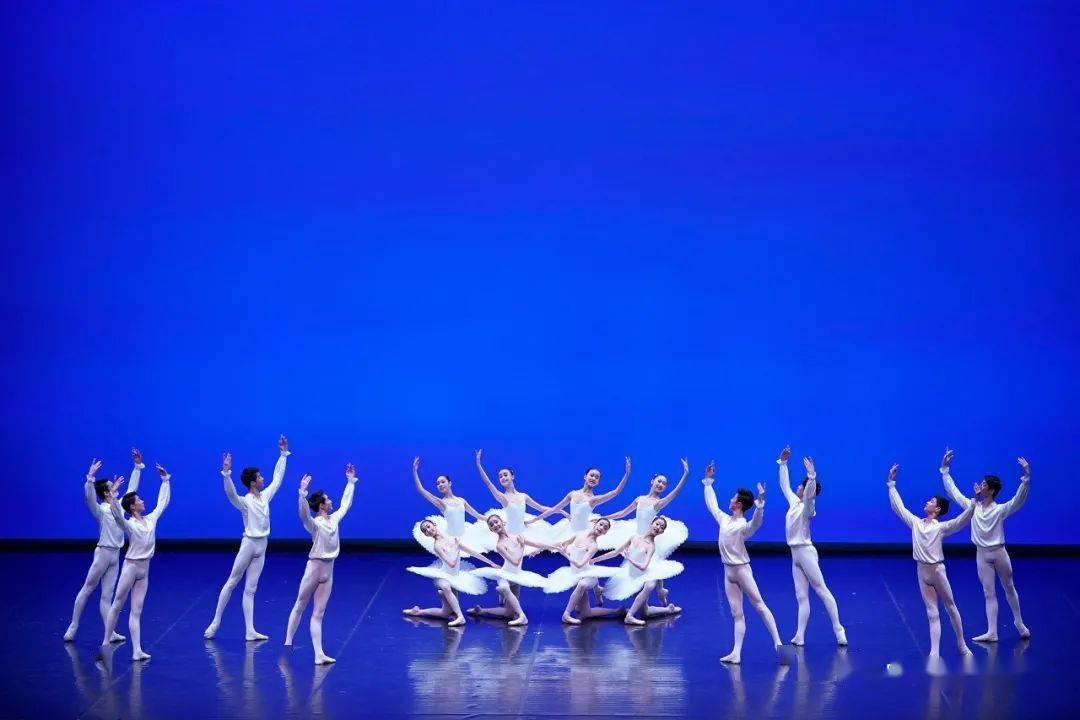中央芭蕾舞团舞蹈学校专场演出《追梦·蓓蕾绽放》孩子们加油!