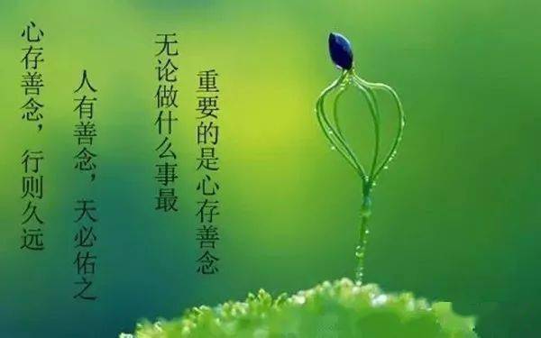 由内而外的绽放心灵美才是真正的美,女人可以不漂亮,但一定不能不善良