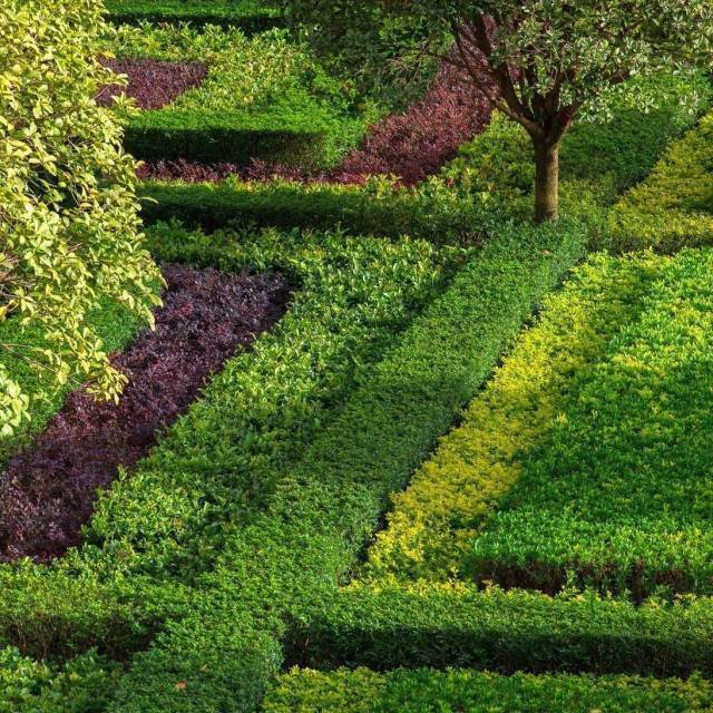 600张·植物造景意向图,值得收藏!