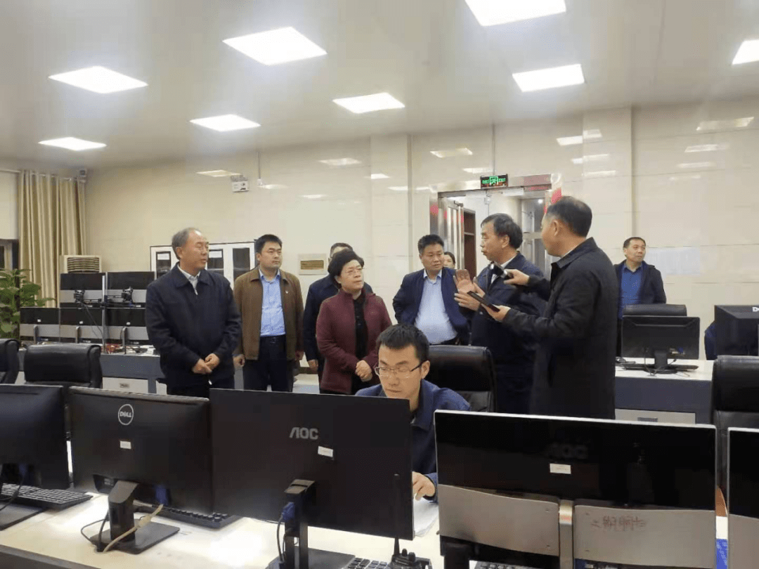 市人大常委会副主任,宜阳县委书记安颖芳督导重污染天气管控工作