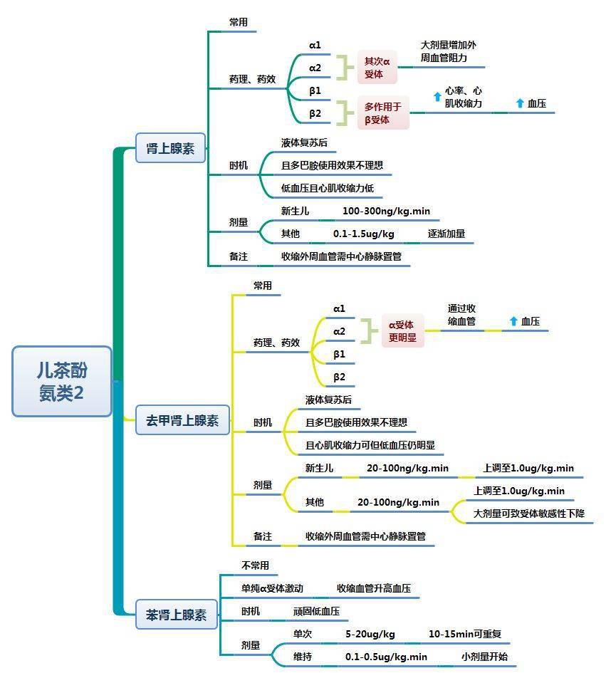 【思維導圖】各種休克與血管活性藥物的使用