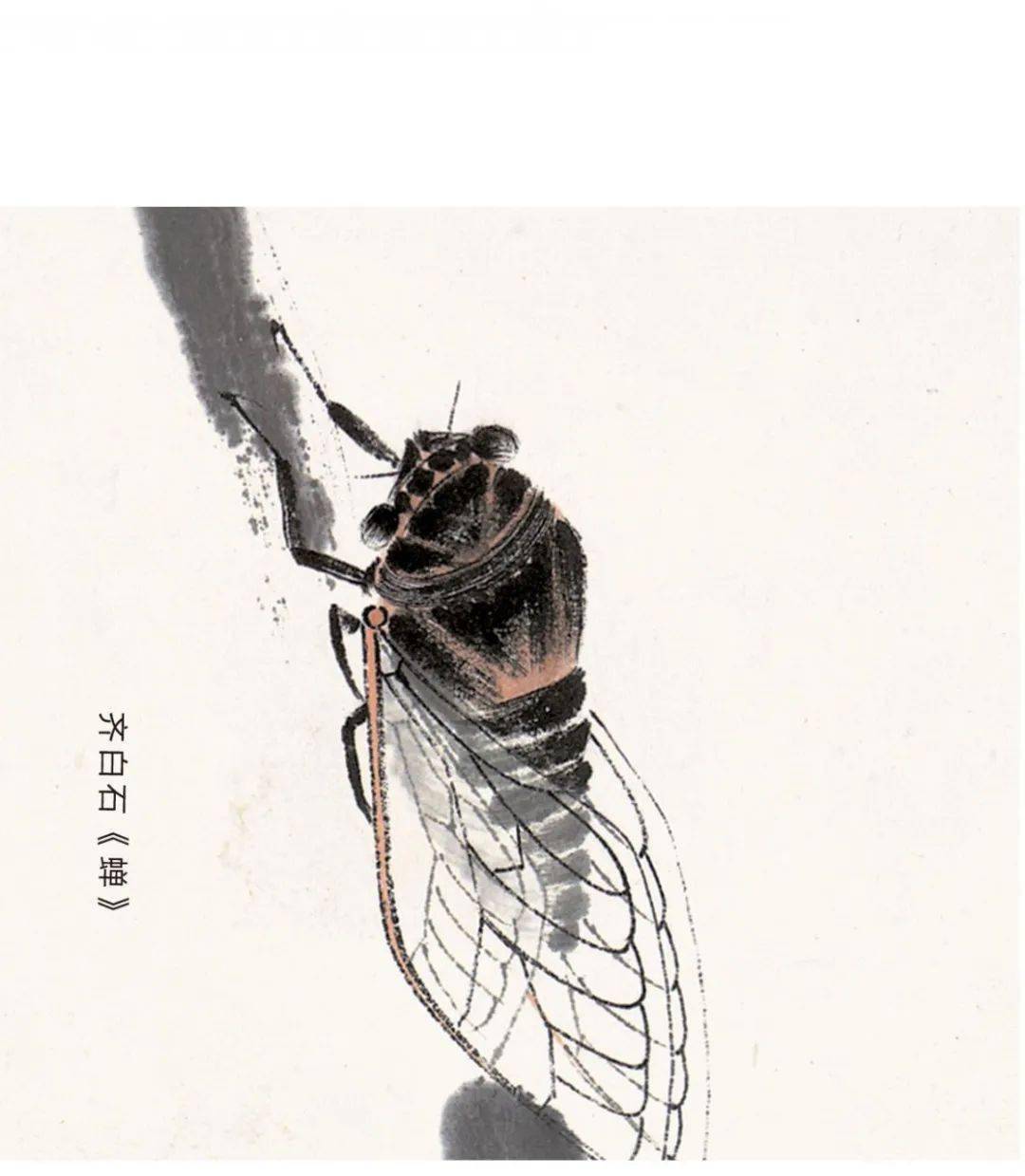 宝兰慎独篇如意金蝉