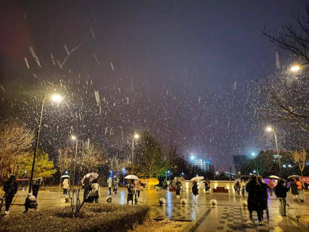 初雪每一片雪花都是冬天的来信