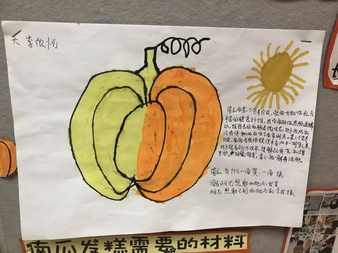 生活课程在丰收的季节里探秘南瓜